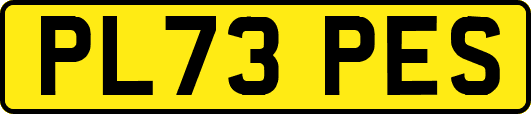 PL73PES