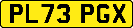 PL73PGX