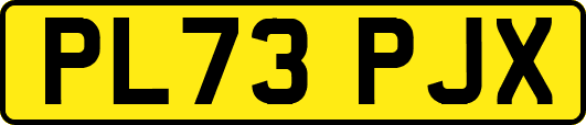 PL73PJX