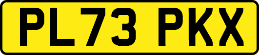 PL73PKX