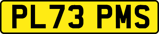 PL73PMS
