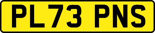 PL73PNS