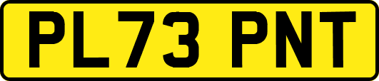 PL73PNT