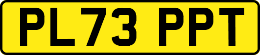 PL73PPT
