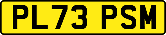 PL73PSM