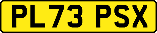 PL73PSX