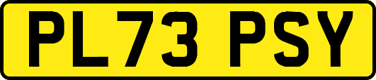 PL73PSY
