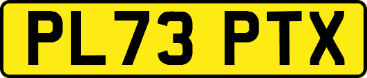 PL73PTX