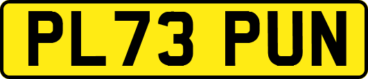 PL73PUN