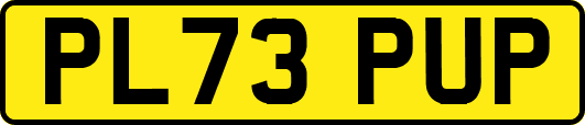PL73PUP