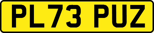 PL73PUZ