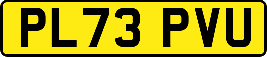 PL73PVU