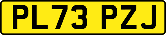 PL73PZJ