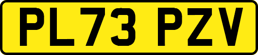 PL73PZV