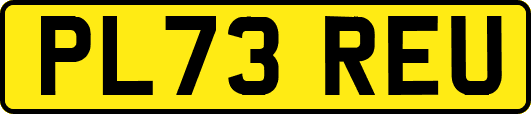 PL73REU