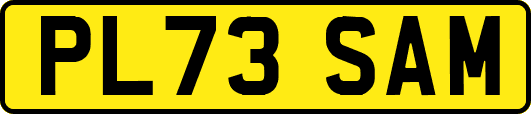PL73SAM