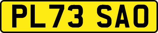 PL73SAO