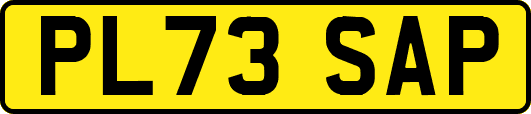 PL73SAP
