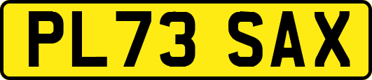 PL73SAX