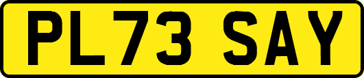 PL73SAY