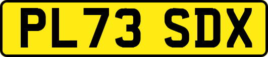PL73SDX