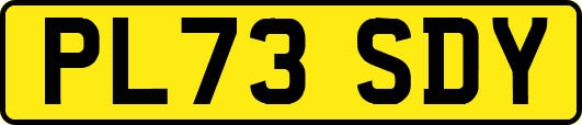 PL73SDY