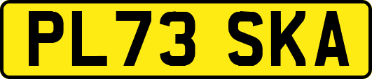 PL73SKA