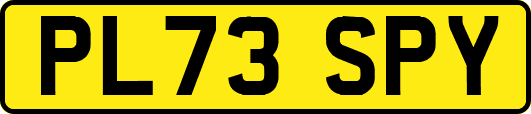 PL73SPY