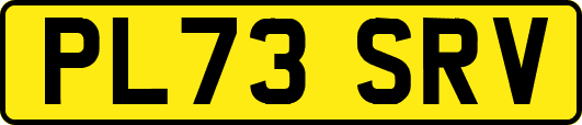 PL73SRV