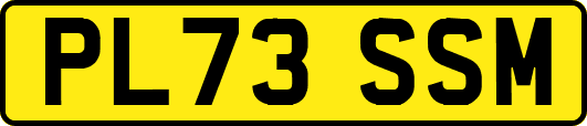 PL73SSM