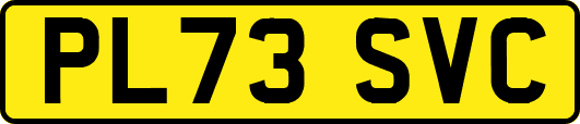 PL73SVC