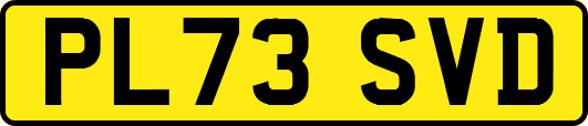 PL73SVD