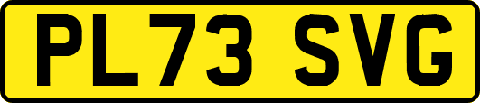 PL73SVG