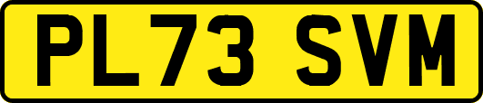 PL73SVM