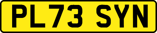 PL73SYN