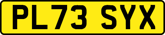 PL73SYX