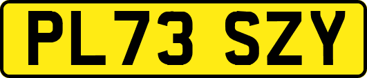 PL73SZY