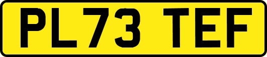 PL73TEF