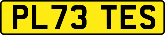 PL73TES