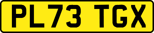 PL73TGX