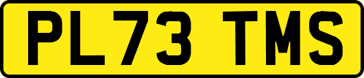 PL73TMS
