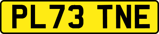 PL73TNE