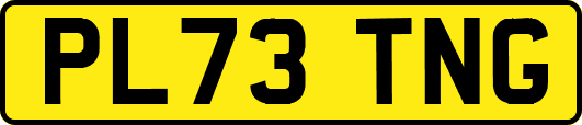 PL73TNG