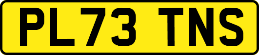 PL73TNS