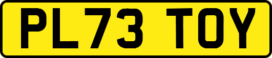 PL73TOY