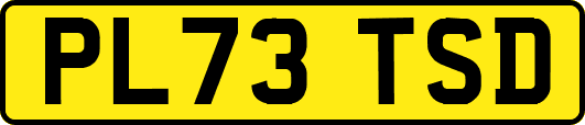 PL73TSD