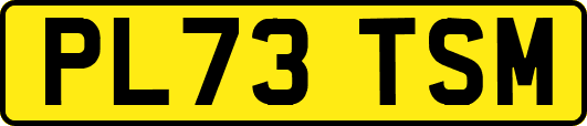 PL73TSM