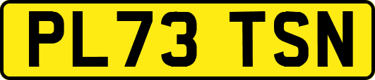 PL73TSN