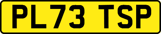 PL73TSP