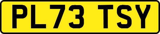 PL73TSY